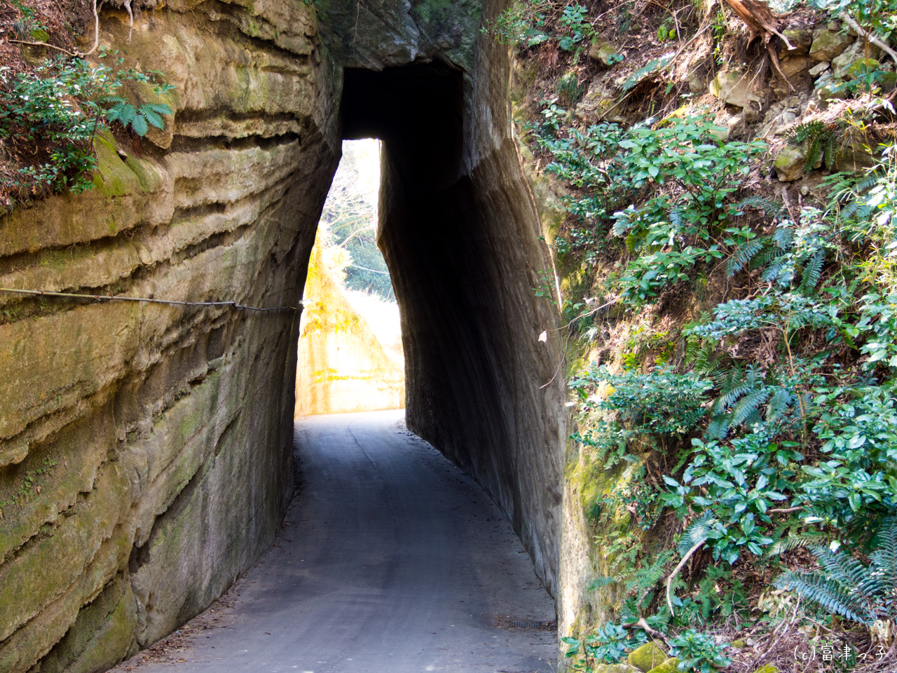 燈籠坂大師の切り通しは人気急上昇中の絶景パワースポット futtour2017 その2 富津っ子